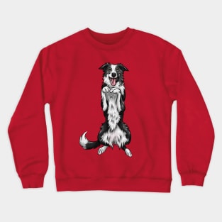 Border Collie Dog Crewneck Sweatshirt